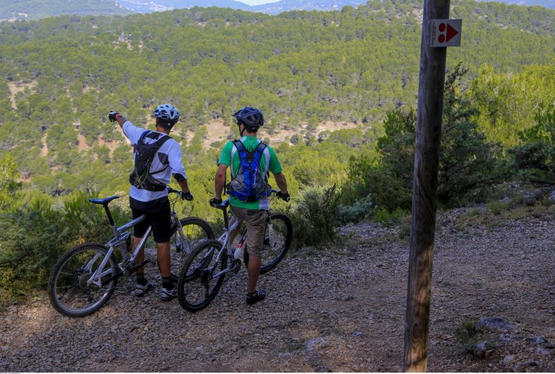 Electric Mountain bike route no.5: Grand tour of Mont Ventoux GPS à Savoillans - 2