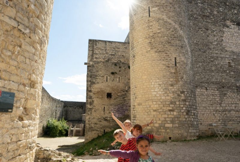 Château de Montélimar à Montélimar - 10