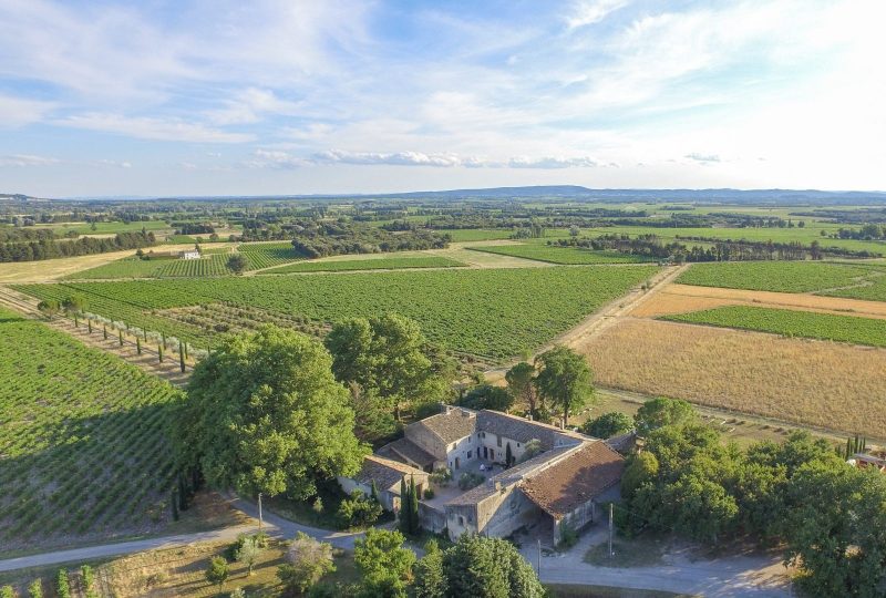 Domaine de la Bastide – Winery à Visan - 1