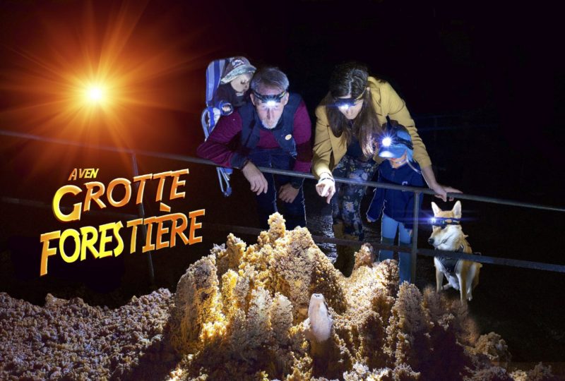 Aven Grotte Forestière. “Visitez Autrement” à Orgnac-l'Aven - 0