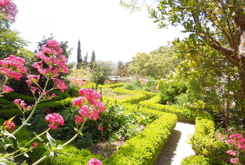 Herb Garden – Garden classified “Remarkable” à La Garde-Adhémar - 3