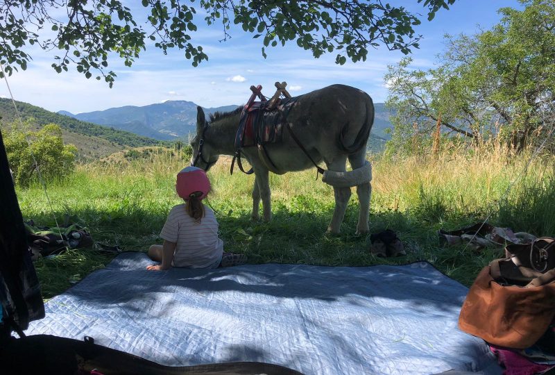 Bamboul’âne farm campsite à Éourres - 0