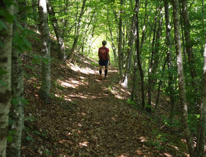 Randonnée Trail – Sommet de Larran à Les Omergues - 6