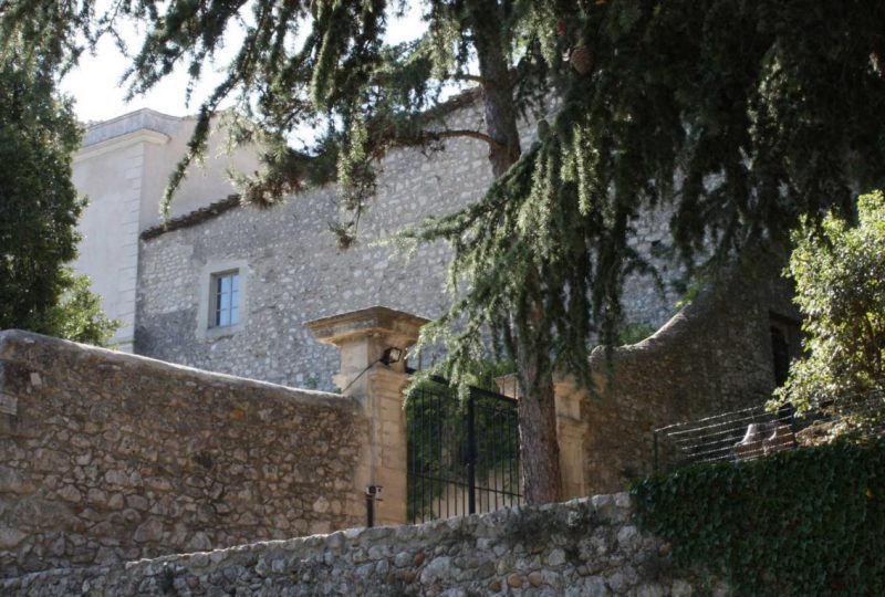 Le Château Renaissance à Donzère - 1