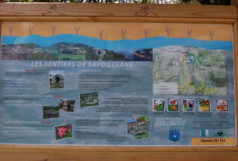 Reveries of the Botanist Rambler – Botanical trail in Savoillans à Savoillans - 4